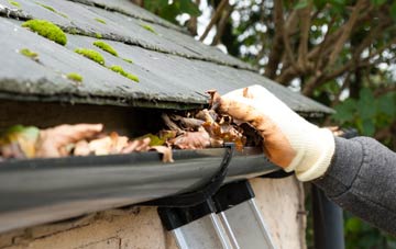 gutter cleaning Brays Grove, Essex